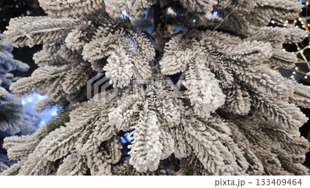 Bright purple and silver Christmas ornaments hang on a lush green tree branch. Symbolizes festive decoration, vibrant holiday style and cheerful seasonal celebration Bright purple and silver Christmas ornaments hang on a lush green tree branch. Symbolizes festive decoration, vibrant holiday style and cheerful seasonal celebration 133409464