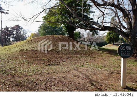 千葉県 龍角寺古墳群・69号墳 千葉県 龍角寺古墳群・69号墳 133410048