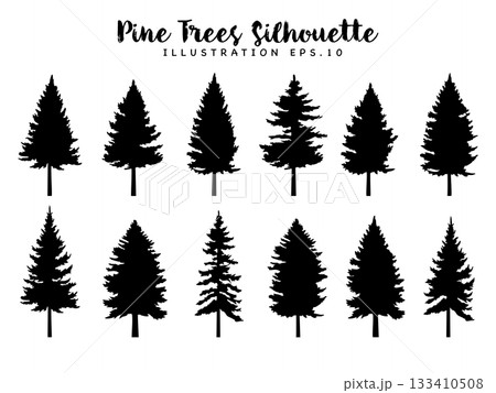 Silhouette Pine Trees Conifer Forest Collection. 133410508