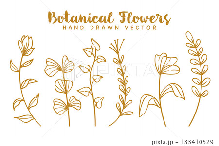 Gold line art leaves and flowers botanical decoration collection.Vector illustration Gold line art leaves and flowers botanical decoration collection.Vector illustration 133410529