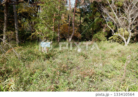 千葉県 龍角寺古墳群・73号墳 千葉県 龍角寺古墳群・73号墳 133410564