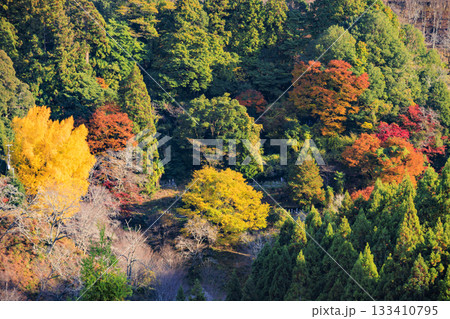 紅葉見頃な世界遺産吉野山 紅葉見頃な世界遺産吉野山 133410795