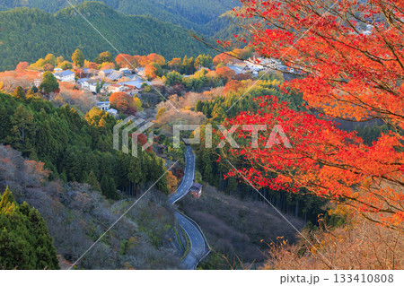 紅葉見頃な世界遺産吉野山 133410808