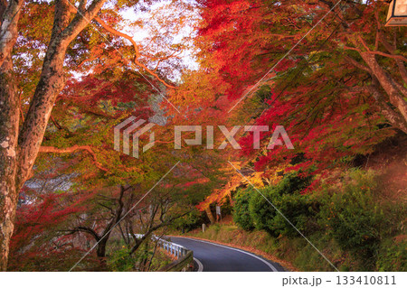 紅葉見頃な世界遺産吉野山 133410811