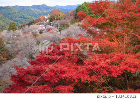紅葉見頃な世界遺産吉野山 133410812