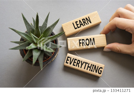 Learn from Everything symbol. Wooden blocks with words Learn from Everything. Businessman hand. Beautiful grey background with succulent plant. Business and Learn from Everything concept. Copy space. 133411271