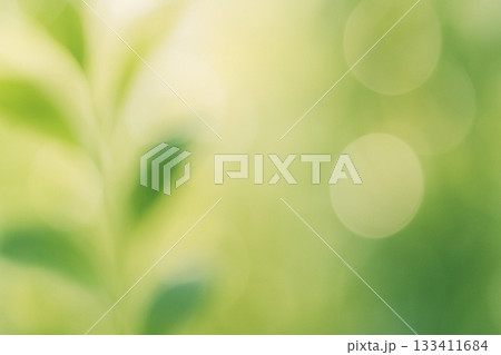 木漏れ日の光がやわらかく広がるグリーンの抽象ボケ背景 133411684