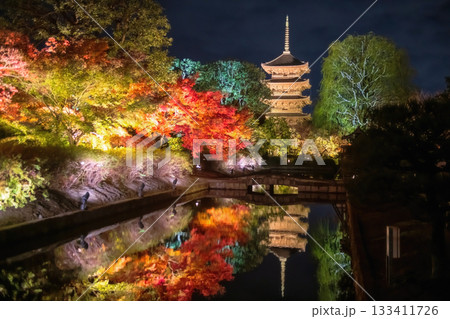 Toji five story pagoda light up with autumn maple leaf colors at night, Kyoto 133411726