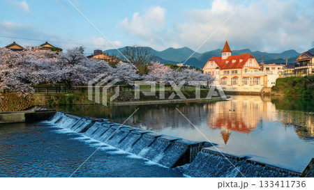 Siebold no Yu touching sunrise and sakura blossom along river, Saga Siebold no Yu touching sunrise and sakura blossom along river, Saga 133411736