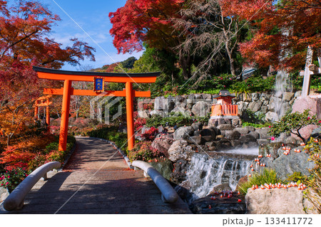Torii gate by waterfall with autumn leaf at Katsuo-ji garden, Osaka Torii gate by waterfall with autumn leaf at Katsuo-ji garden, Osaka 133411772