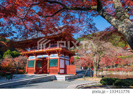Katsuo-ji temple sanmon gate with autumn maple leaf colors, Osaka 133411776
