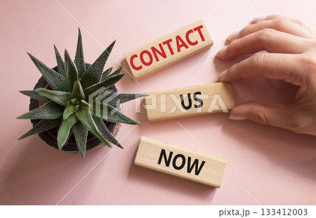 Contact us now symbol. Wooden blocks with words Contact us now. Beautiful pink background with succulent plant. Businessman hand. Business and Contact us now concept. Copy space. 133412003