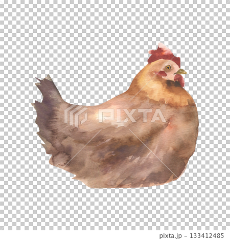 Orange and brown hen watercolor illustration. Realistic isolated home bird, farm rural life animal clipart for organic product label, logo, packing design 133412485
