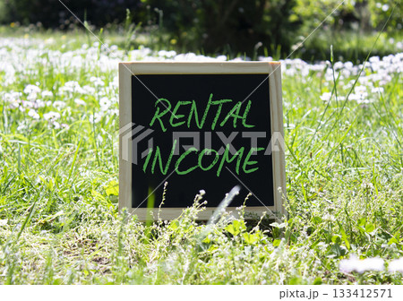 Rental Income symbol. Concept word Rental Income on chalk blackboard. Beautiful meadow background. Business and Rental Income concept. Copy space. Rental Income symbol. Concept word Rental Income on chalk blackboard. Beautiful meadow background. Business and Rental Income concept. Copy space. 133412571
