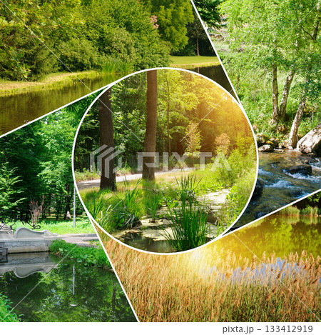 Vibrant Nature Collage with Sunlit Forest and Water Scenes Vibrant Nature Collage with Sunlit Forest and Water Scenes 133412919