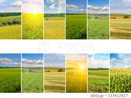 Agricultural Fields and Farm Landscapes Photo Collage with Copy Space Agricultural Fields and Farm Landscapes Photo Collage with Copy Space 133412927