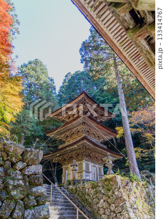 秋の両界山横蔵寺境内の景色 秋の両界山横蔵寺境内の景色 133414767