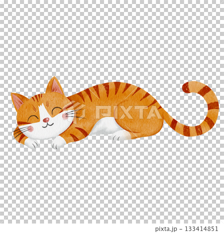 Sleeping ginger tabby cat with white face, long whiskers in cute watercolor style. Hand drawn illustration for children on white background. Cozy pet character, for decorating child room and books Sleeping ginger tabby cat with white face, long whiskers in cute watercolor style. Hand drawn illustration for children on white background. Cozy pet character, for decorating child room and books 133414851