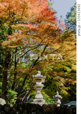 秋の両界山横蔵寺境内の景色 133415692