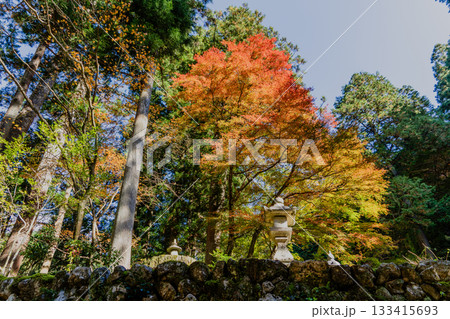 秋の両界山横蔵寺境内の景色 秋の両界山横蔵寺境内の景色 133415693