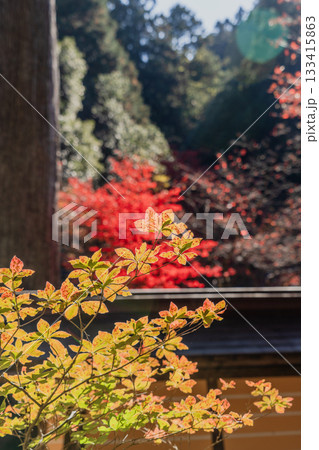 秋の両界山横蔵寺境内の景色 秋の両界山横蔵寺境内の景色 133415863