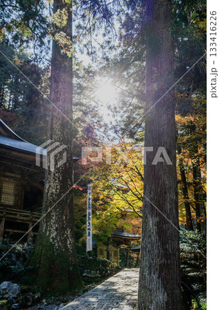 秋の横蔵寺境内の景色 133416226