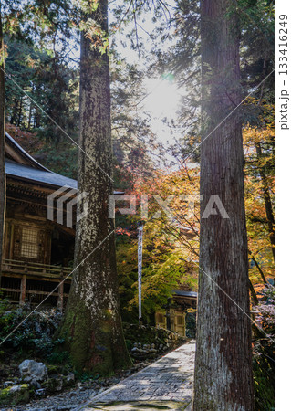 秋の両界山横蔵寺境内の景色 秋の両界山横蔵寺境内の景色 133416249