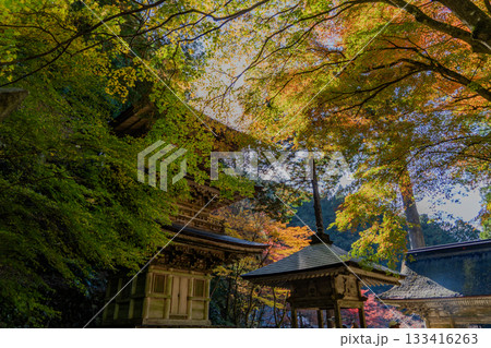 秋の両界山横蔵寺境内の景色 133416263