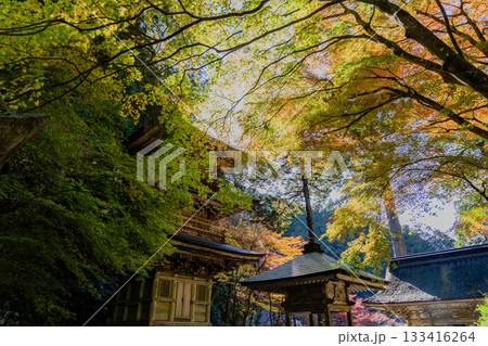 秋の両界山横蔵寺境内の景色 秋の両界山横蔵寺境内の景色 133416264