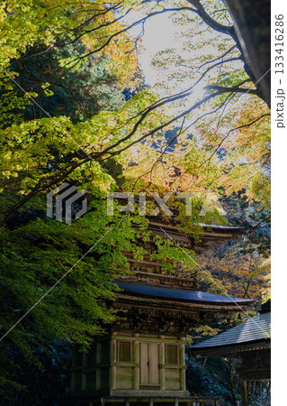秋の両界山横蔵寺境内の景色 秋の両界山横蔵寺境内の景色 133416286