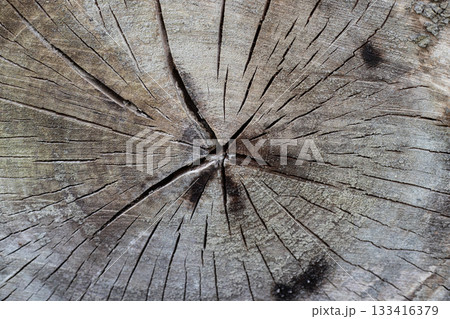 Old grey wood log texture Old grey wood log texture 133416379