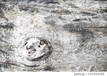 Old grey wood log texture 133416389