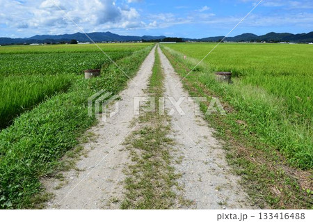 農道と田園風景 山形県庄内 農道と田園風景 山形県庄内 133416488