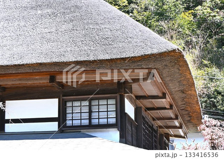 茅葺屋根の光景・日本の原風景・日本旅行素材 茅葺屋根の光景・日本の原風景・日本旅行素材 133416536