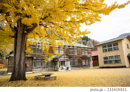 イチョウの落ち葉広がる旧喰丸小学校 133416931