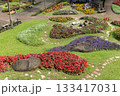 Colorful flower beds winter landscape of Mae Fah Luang Garden at Doi Tung, Chiang Rai, Thailand 133417031