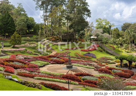 Beautiful landscape of Mae Fah Luang Garden with colorful winter flowers at Doi Tung, Chiang Rai, Thailand Beautiful landscape of Mae Fah Luang Garden with colorful winter flowers at Doi Tung, Chiang Rai, Thailand 133417034