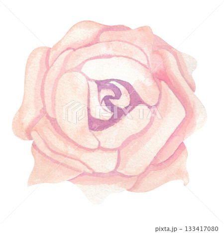 A delicate tea or light peach rose with a rich center. This isolated image is executed in a simple watercolor style. The drawing is done in a limited palette. This floral illustration is perfect for A delicate tea or light peach rose with a rich center. This isolated image is executed in a simple watercolor style. The drawing is done in a limited palette. This floral illustration is perfect for 133417080