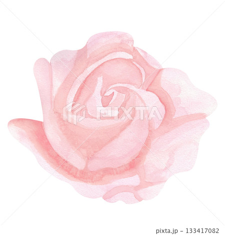 A soft pink rose with trailing petals. The isolated image is executed in a simple watercolor style. The drawing is done in a limited palette. This floral illustration is well suited for design A soft pink rose with trailing petals. The isolated image is executed in a simple watercolor style. The drawing is done in a limited palette. This floral illustration is well suited for design 133417082