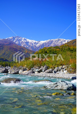 秋の白馬村から眺めた三段紅葉 133417263