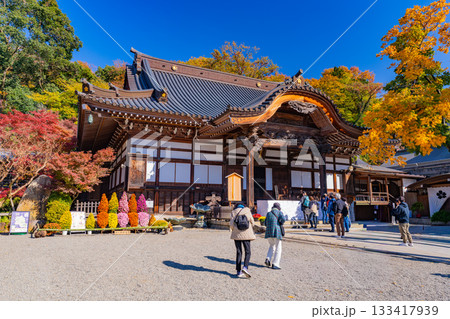 【東京都】紅葉最盛期の深大寺 本堂 参拝者 【東京都】紅葉最盛期の深大寺 本堂 参拝者 133417939