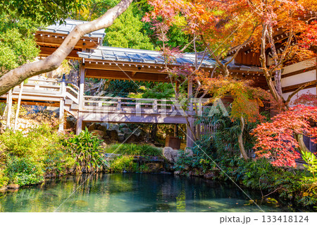 【東京都】紅葉最盛期の深大寺　本堂・五大尊池 133418124