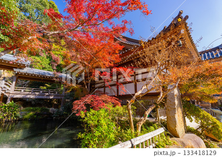 【東京都】紅葉最盛期の深大寺　本堂・五大尊池 133418129