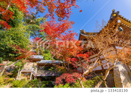 【東京都】紅葉最盛期の深大寺 本堂・五大尊池 【東京都】紅葉最盛期の深大寺 本堂・五大尊池 133418130