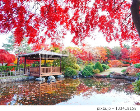 北海道の絶景 平岡樹芸センター和風庭園 133418158