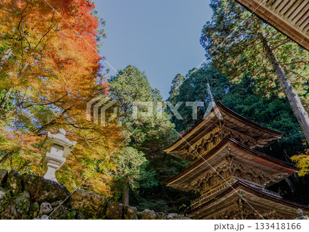 秋の両界山横蔵寺境内の景色 133418166