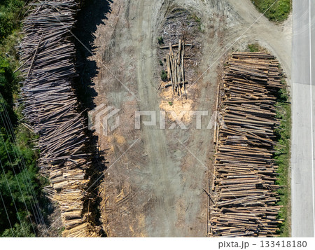 Stacked raw logs prepared for lumber production. Forestry, timber industry, and raw material processing for construction Stacked raw logs prepared for lumber production. Forestry, timber industry, and raw material processing for construction 133418180