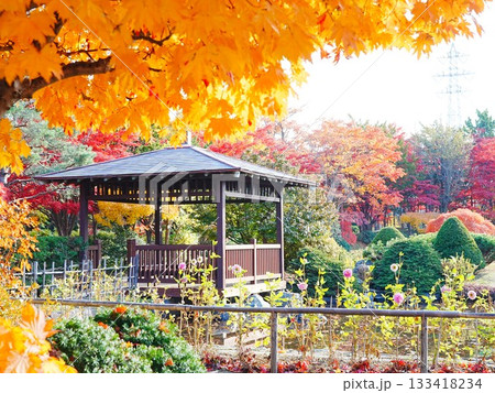 北海道の紅葉風景 平岡樹芸センター 和風庭園 133418234