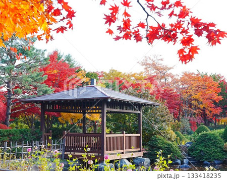 北海道の紅葉風景 平岡樹芸センター 和風庭園 北海道の紅葉風景 平岡樹芸センター 和風庭園 133418235