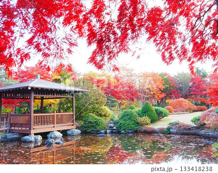 北海道の紅葉風景 平岡樹芸センター 和風庭園 133418238
